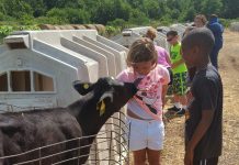 Hastings Dairy now open for tours, tastings