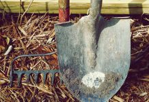 Employing youth for the summer