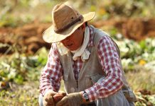 How to prevent sun damaged skin