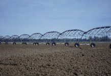 2,500 gallons of water per bushel of irrigated corn is ‘too much’ irrigator