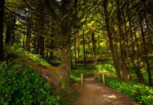 Sometimes things are out of our control, but good in the end