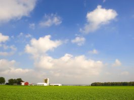 How to finance a new, small or specialty farm