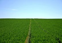 Eco-farming can help in today’s weather conditions