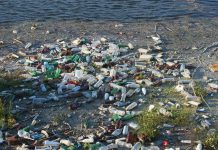 You can help keep trash out of the water