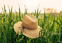 County committees need local producers