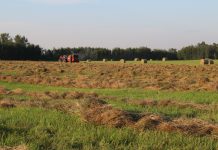 How to buy a farm II baler and round bales
