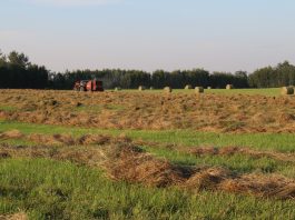 baler and round bales