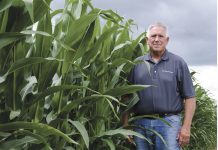 Jeffries starts new direct sales seed company