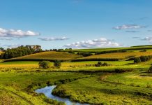 Mowing, grass clippings can cause streambank erosion