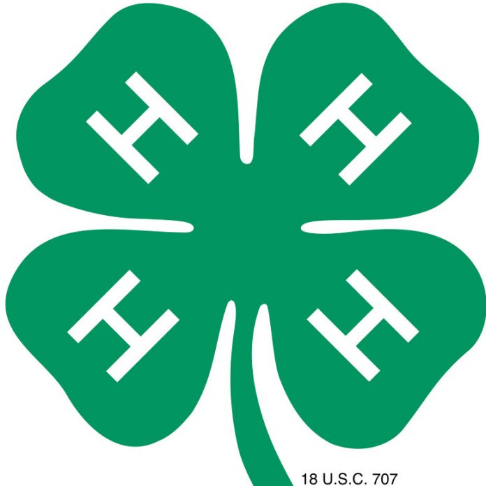 4-H-logo