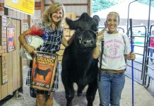 Summit County Fair sale was a night of new records Summit Co champion steer