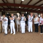 Campbell Run, Claypoole exhibit top Holstein