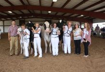 Campbell Run, Claypoole exhibit top Holstein