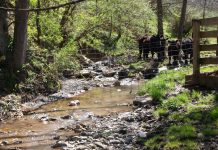 Riparian areas in eastern, western Ohio