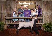 Marshall County Fair sale over $200,000 grand champion lamb