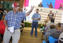 Over $400,000 raised at Medina County livestock sale Medina Fair header