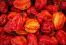 Hot Peppers an Example of Constrained Risk