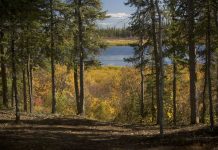 Want to move to Yukon? Canada offering land to homesteaders