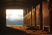 Dust in livestock facilities: Sweat the small stuff