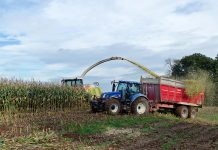 There’s one chance to nail corn silage harvest silage