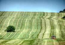 FSA employees care about customers