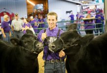 Remember me Austin Pullins