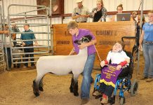 Lawrence County Fair livestock sale totals $238,000 Lawrence grand lamb in ring
