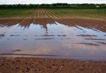 Understanding stormwater runoff