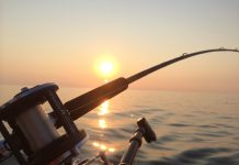 New metal boat models are designed for fishing fishing