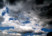 In the path of a hurricane