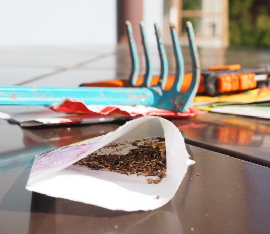 garden seeds