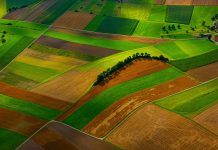 Agriculture’s dark ‘green’ future