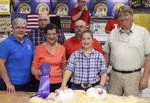 Stark County Fair results 2017 Stark grand chickens