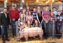 Stark fair rallies to support Harvey victims Texas hog