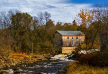 The evolution of the sawmill industry