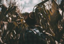 Managing people instead of things