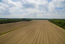 Injecting manure reduces hormone transport Tilled field