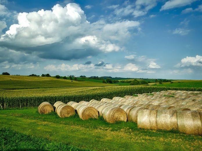 Iowa