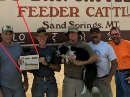 Montana Wildfire Cleanup with Local Farm & Dairy Subscribers