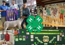 Farm and Dairy readers thank 4-H