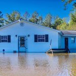 4-H members gather hurricane relief funds Jefferson County 4-H hurricane relief