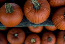 How to make fresh pumpkin puree for baking pie pumpkins