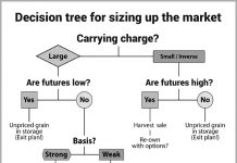 Understanding ‘carry’ in grain marketing Grain marketing decision tree