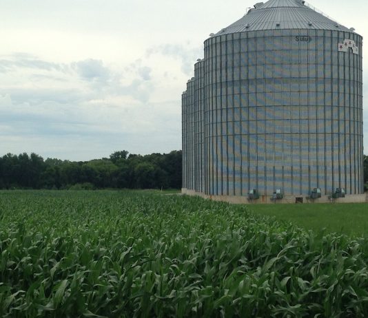 Ask FSA Andy about farm storage loans grain bin