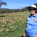 Satisfaction in growing a seed Betty Hickey
