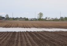How to prepare fields for unusual rainfall Flooded farm field