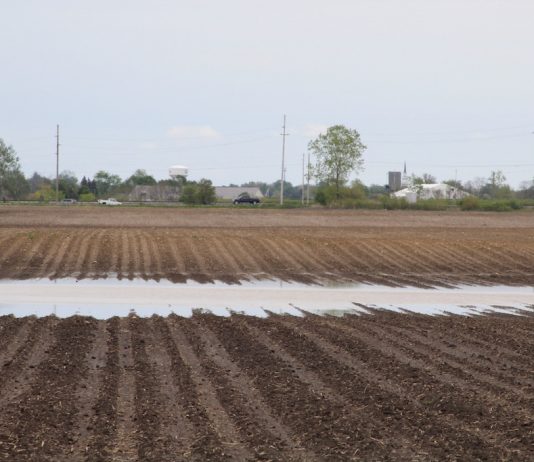 How to prepare fields for unusual rainfall Flooded farm field