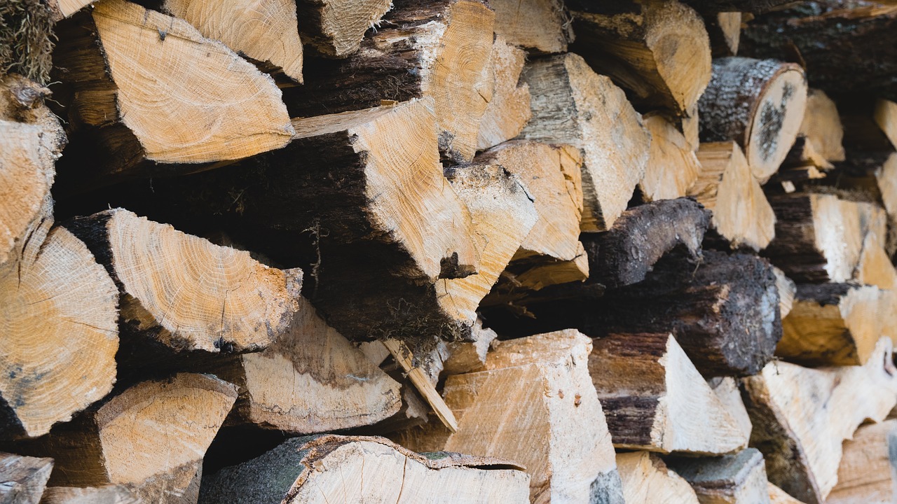 How to Tell If Wood is Dry Enough to Burn 