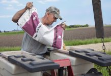 How to purchase quality seeds planter soybean seed