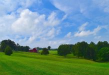 Is new ag reform a plan or an obituary? farmland